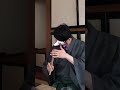 -紫陽花- 花言葉「移り気」や「浮気」「冷酷」です。色の変わりやすい花だからこその言葉です