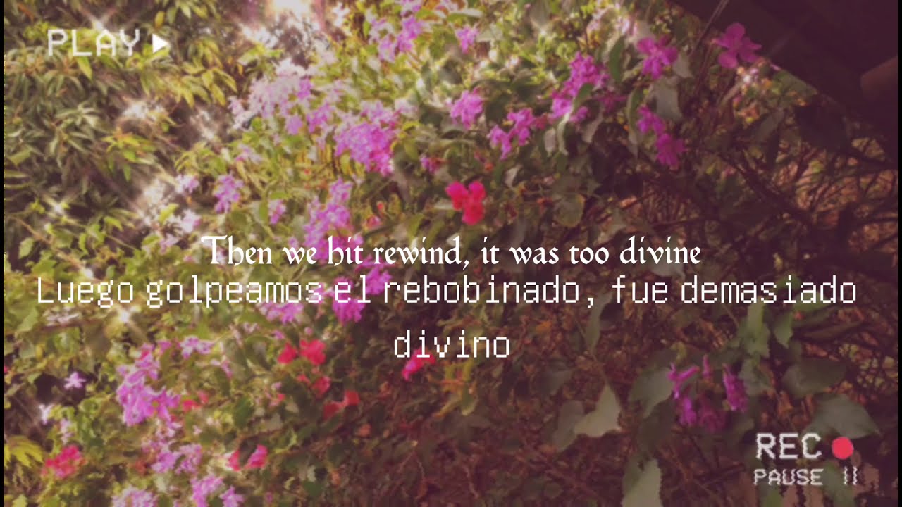 Lavender - Dreamer Boy (lyric/letra)