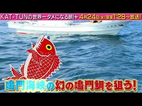 KAT-TUN KAT-TUNの世界一タメになる旅+ CM スチル画像。CM動画を再生できます。 KAT-TUN KAT-TUNの世界一タメになる旅+ CM スチル画像。CM動画を再生できます。