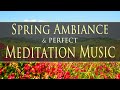 4 hours of spring ambiance  perfect nature footage  massage yoga meditation sleep relaxation