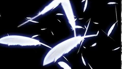 3D Falling white feather.