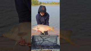 pêche à la carpe#fishing####