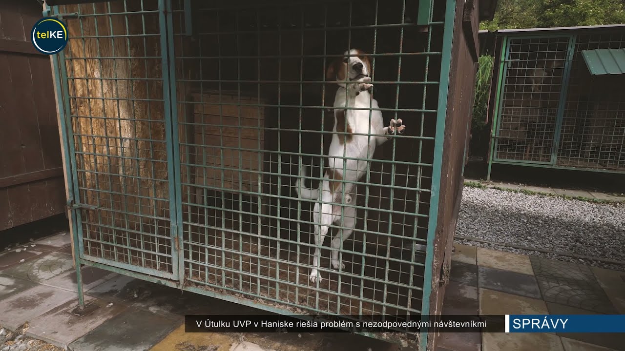 V Útulku UVP v Haniske riešia problémy s nezodpovednými návštevníkmi