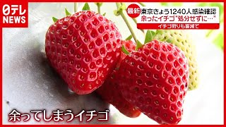 「新型コロナ」“イチゴ狩り”客激減で…コロナ禍で余る様々な食材（2021年1月19日放送「news every.」より）