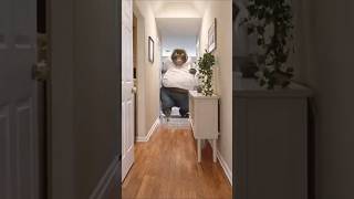 Monkey Vlog - Fat Monkey Destroy Home