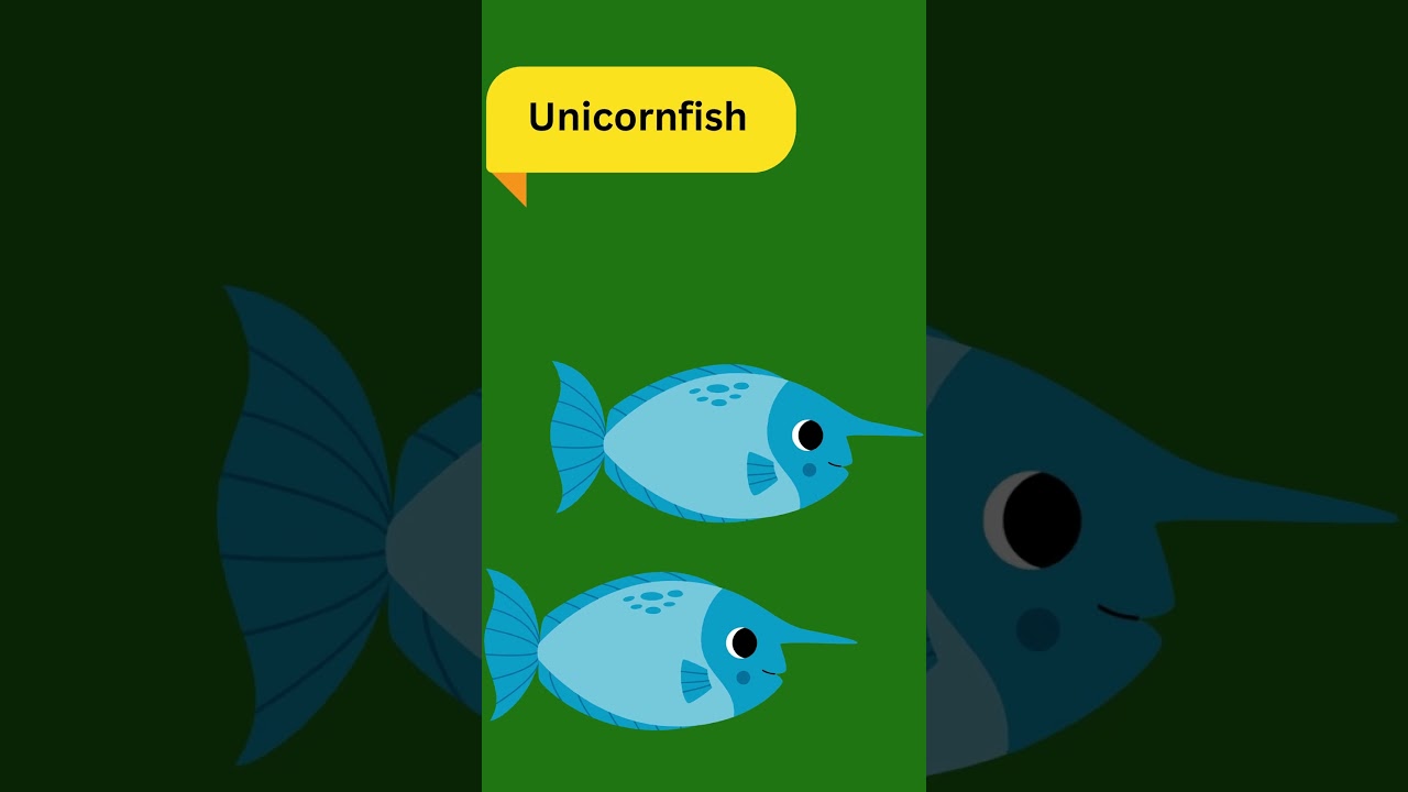 A to Z of Water Animals | Fun Alphabet Learning for Kids 