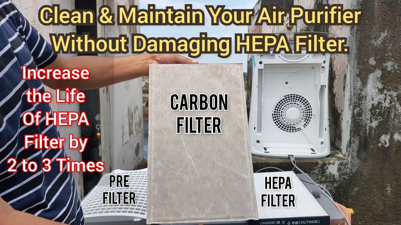 How to Clean an Air Purifier Without Damaging It: Expert Tips