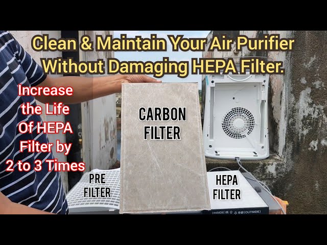 How to Clean an Air Purifier With a HEPA, Disposable, or Carbon Filter