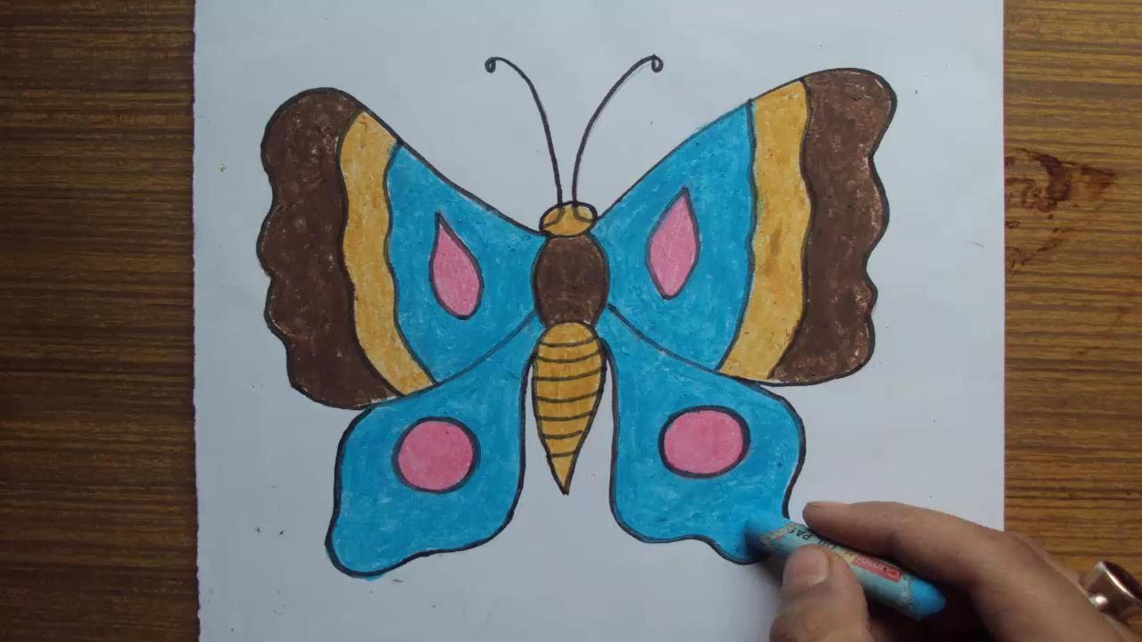 Featured image of post Butterfly Drawings With Color Easy - Thanks for watching our channel.