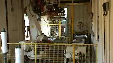 Packing & Robot Palletising System In Mobile Shipping Container