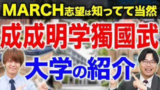 【中堅私立大学群】魅力あふれる「成成明学獨國武」の各大学について徹底解説