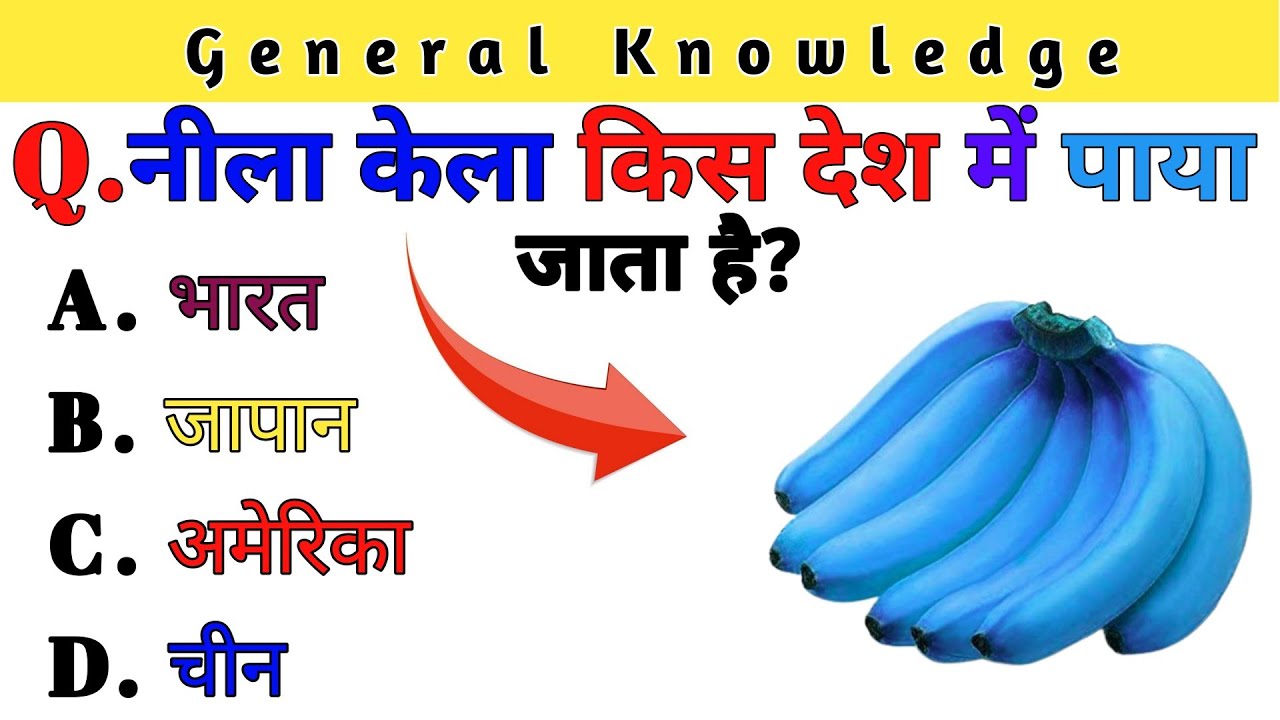 General Knowledge || GK Question and Answer || GK Quiz | SK GK STUDY ...