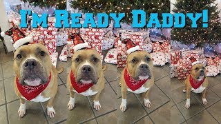 My Dog Opens Presents by Capone and Fam 1,922 views 4 years ago 4 minutes, 27 seconds