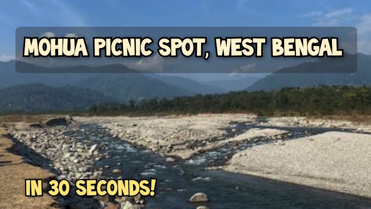 Mohua picnic spot West Bengal  in 30 sec  The Veracious