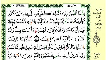 40-37: الصفحة 193 :سورة التوبة من الآية