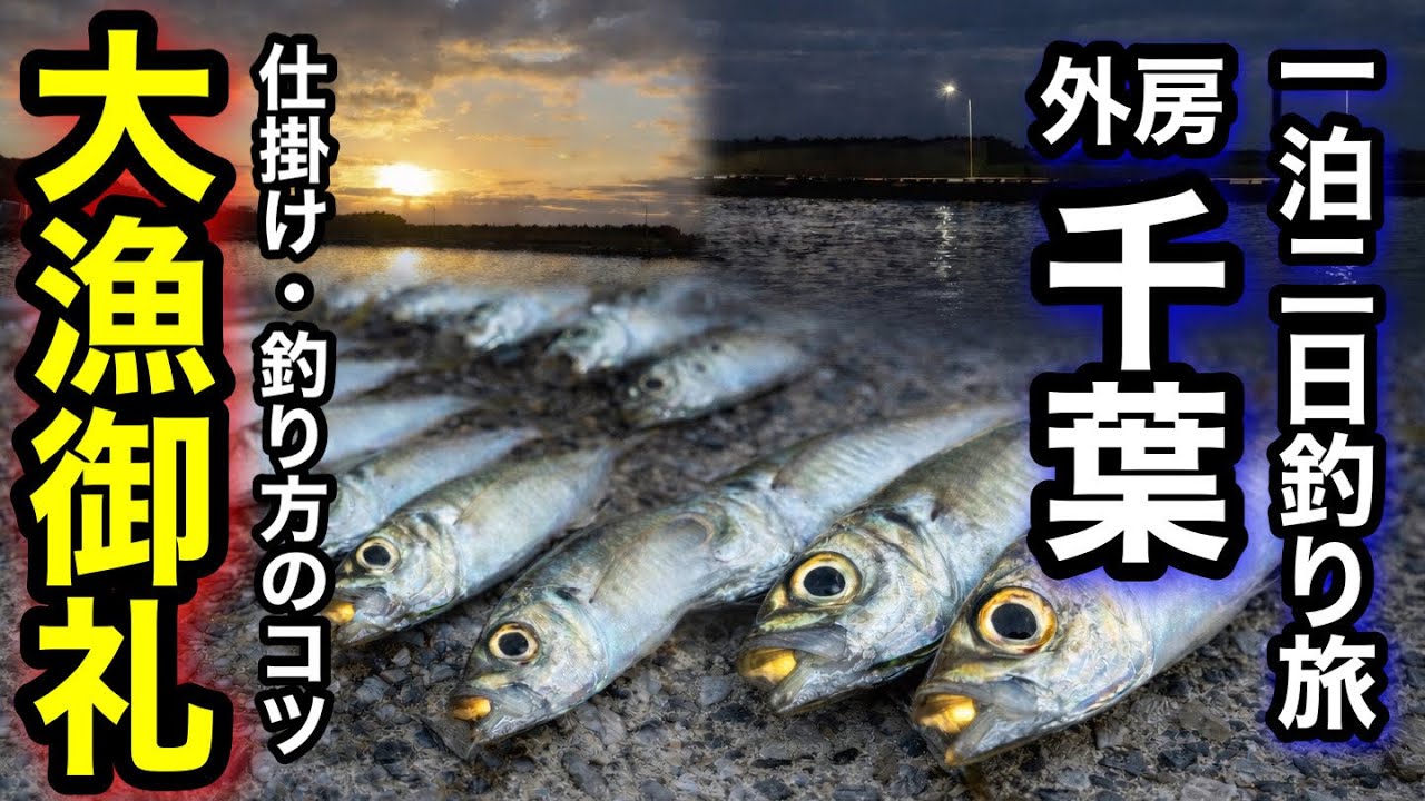 はっぴーコマセで爆釣？アジの釣果を伸ばすコツ！カマスも登場で千葉外房の釣り旅がヤバすぎた！