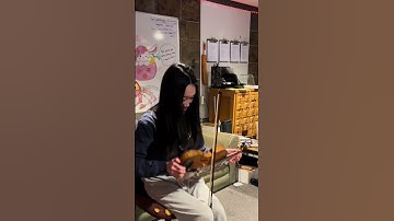 Het spijt me, Vivaldi!