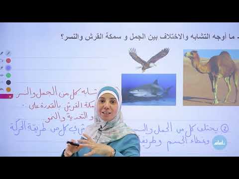الرابع 4 علوم التصنيف مع أ شذى أبو سليم