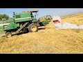 wheat harvester in trabule