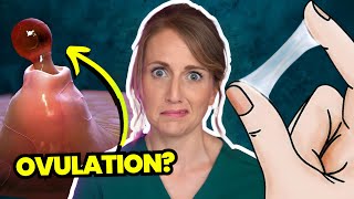 Doctor Answers Top 5 Ovulation Questions - Are you even ovulating?