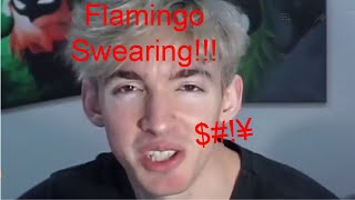 Flamingo Swearing!!!