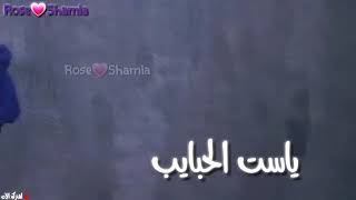 اضحك من قلبك علي اغنية '' ياست الحبايب''