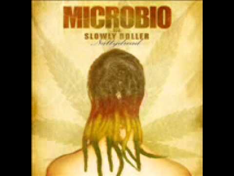 13  Microbio   Encarate Parte 2