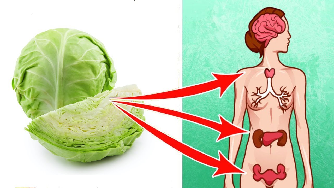 Eating Cabbage Regularly Can Be Life Changing Here s Why YouTube