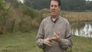 Beef Slaughter House