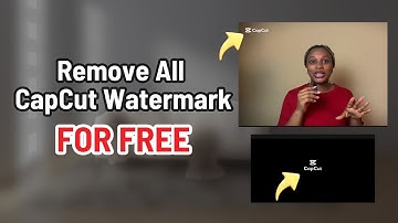 How to Remove the CapCut Watermark From Video for Free (2 Ways)