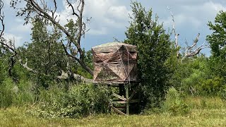 Pop-up deer blind on a stand by The Peterbilt trucker Chuck 2,617 views 1 year ago 5 minutes, 23 seconds