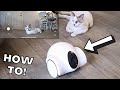 How to Use the GULIGULI Hiibo Pet Camera + My Thoughts!