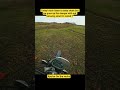 xpulse 200 4v memes #Trending #Shorts #viral #xpulse2004v #memes #comedy #funny