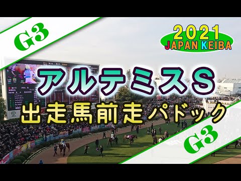 【競馬パドック】アルテミスＳ・前走パドック（2021年）