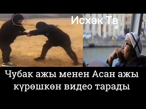 Video: Күрөшкөн иттерди кантип бөлсө болот