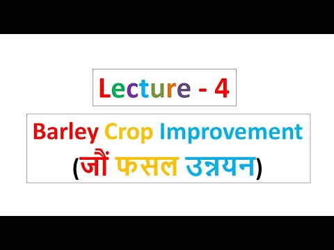 Lecture - 4 Rabi Crop Improvement