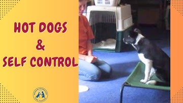 Hot Dogs & Self-Control?! Fun Puppy Training with the Mouse Game