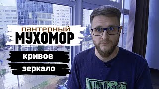 Мухоморы / Ясновидение и призвание