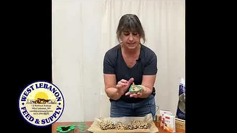 Quick Tips with Jerilyn: Easy-to-Make Bird Seed Or...