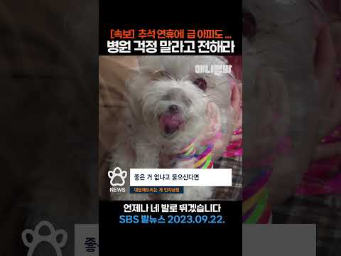 [<strong>속보</strong>]추석 연휴에 급 아파도...<strong>병원</strong> 걱정 말라고 전해라 ㅣ SBS 발뉴스 #애니멀봐 #shorts