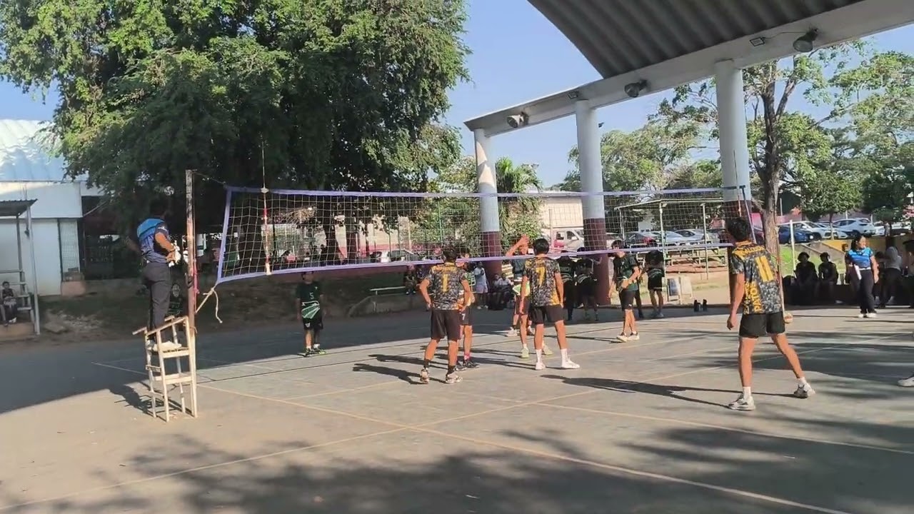 Tec milenio va tumbapatos 1 