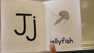Div  01 My letter J Book