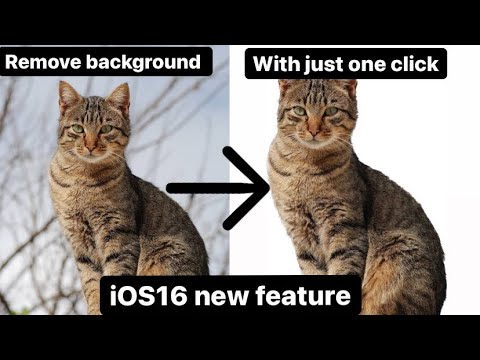 How To Remove Background From Image On iPhone! (iOS 16) |without any ...
