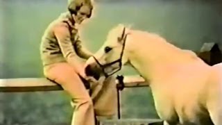 JCPenney 'So Put Together' Clothing Commercial (1972)
