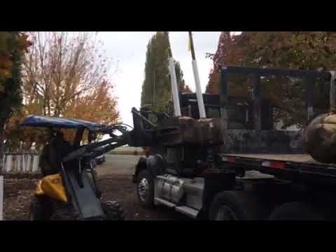 Loading Trees - YouTube