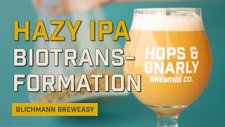 How to Brew Hazy IPA at Home: Biotransformation Dry Hop | EP26