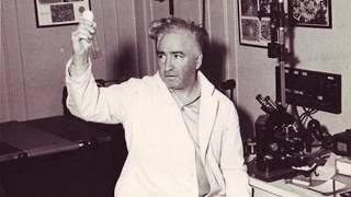 Wilhelm Reich: The Scientist Whose Books Were Burned by Two Governments