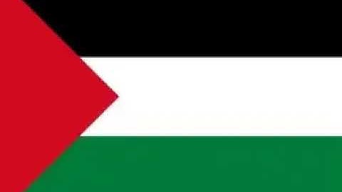 trans noise part 4 pt1 (parasite)