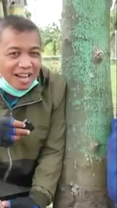 kata-kata bijak dan do'a dari ODGJ umar | sinau hurip