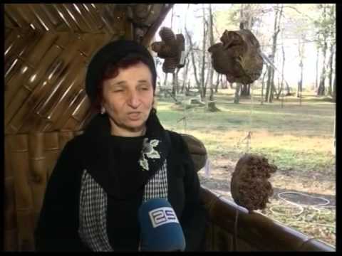 ბათუმის ბოტანიკურ ბაღში გირჩების გამოფენა მოეწყო